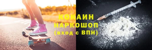 apvp Бородино