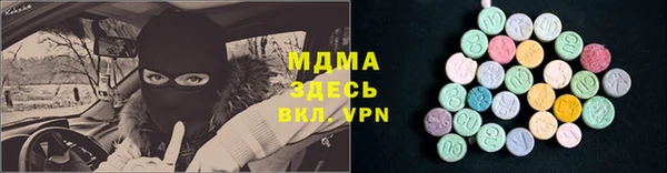 apvp Бородино