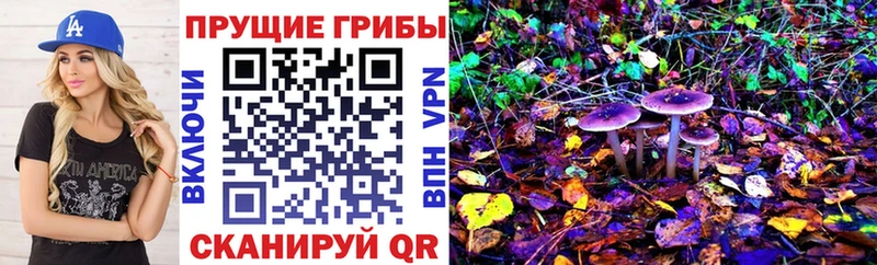 купить наркотик  hydra ссылка  Псилоцибиновые грибы мухоморы  Дагестанские Огни 